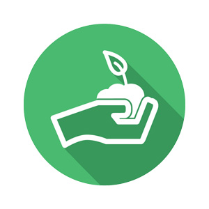 Wellness for Students